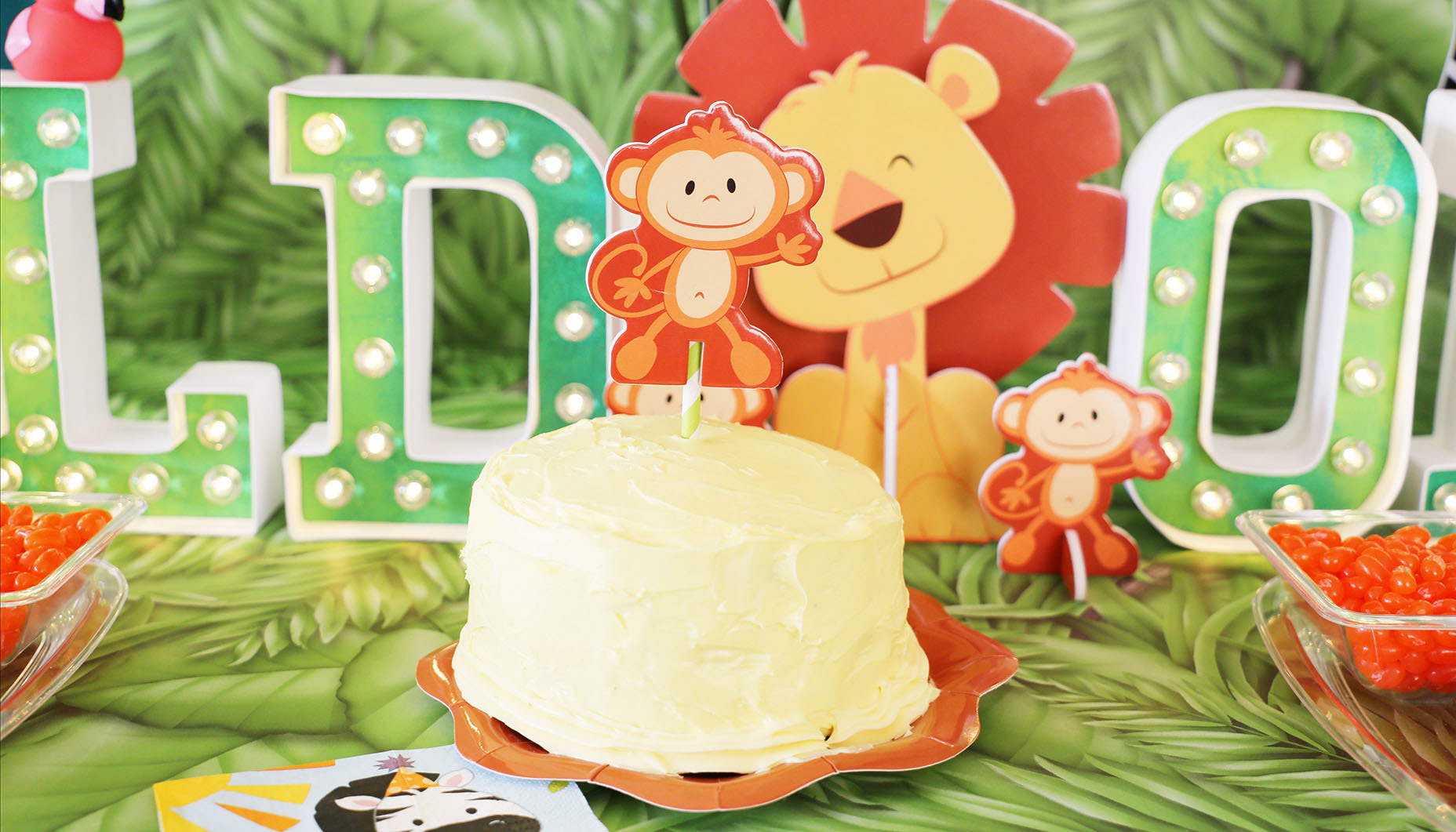 Zoo-First-Birthday-Party-10