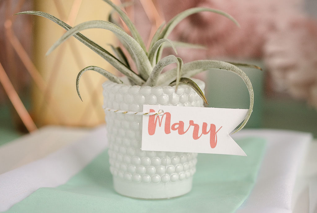 blush and mint tablescape