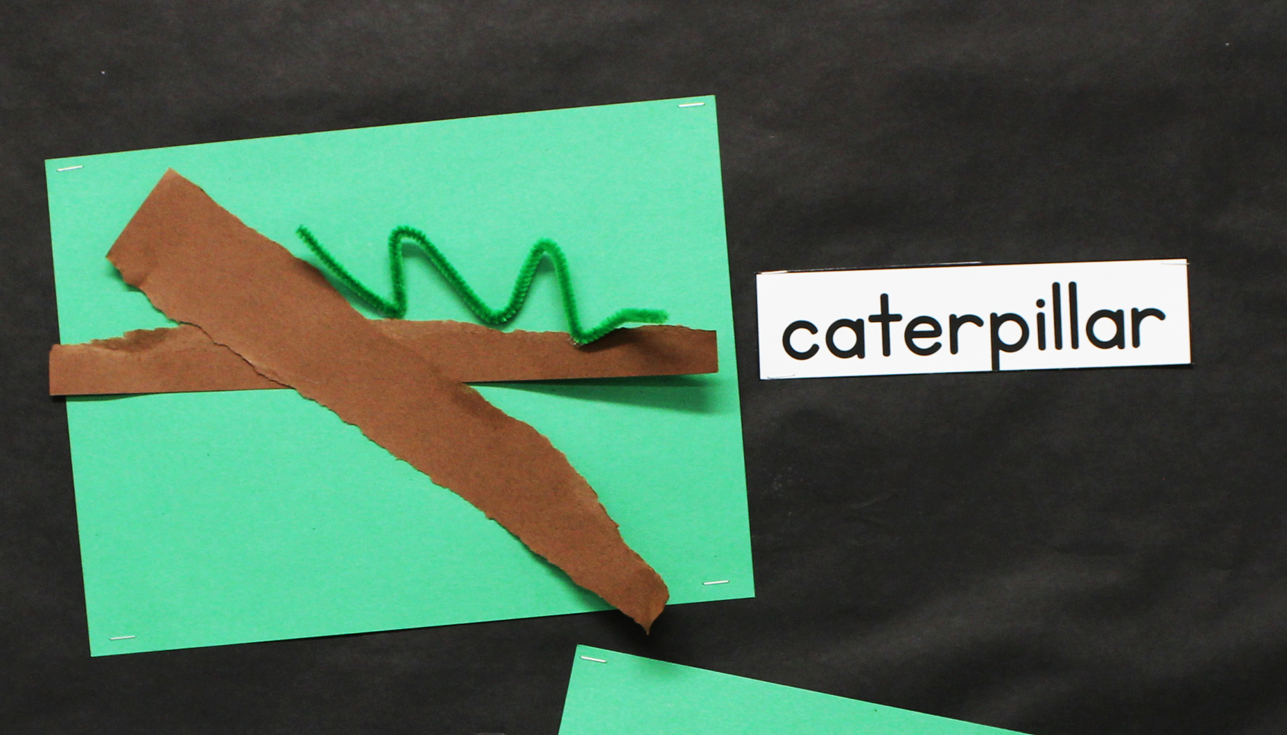 Life.Cycle.Butterfly.Bulletin.Board.Article.Wide.caterpillar