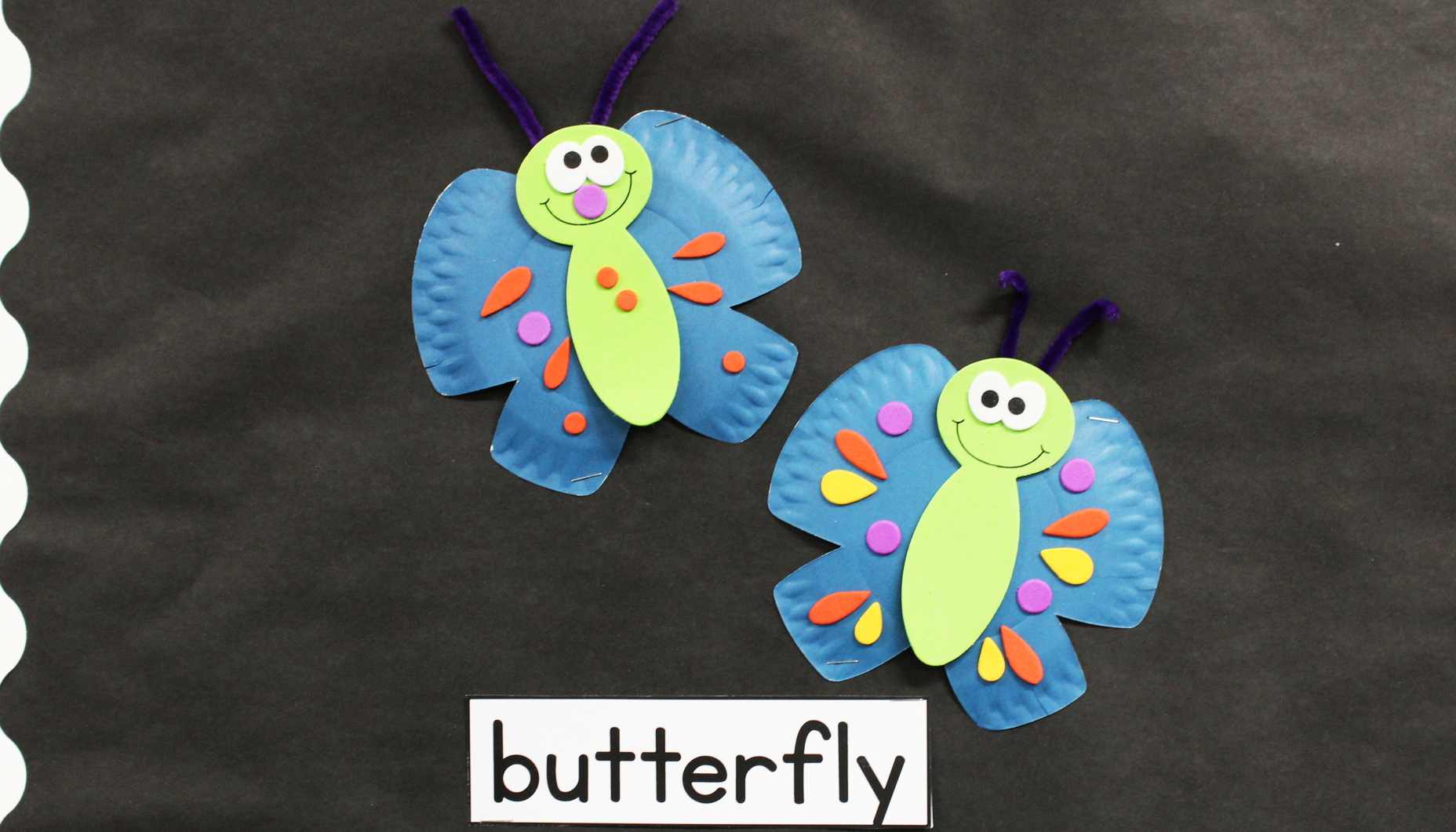 Life.Cycle.Butterfly.Bulletin.Board.Article.Wide.butterfly