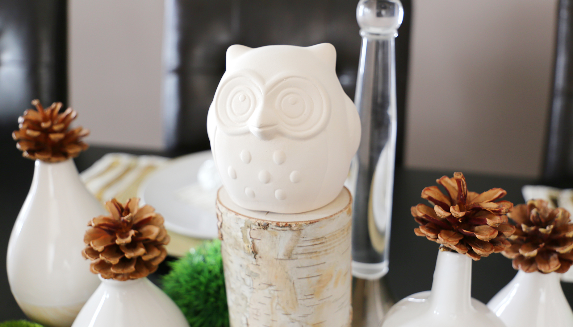 owl-gender-reveal-8