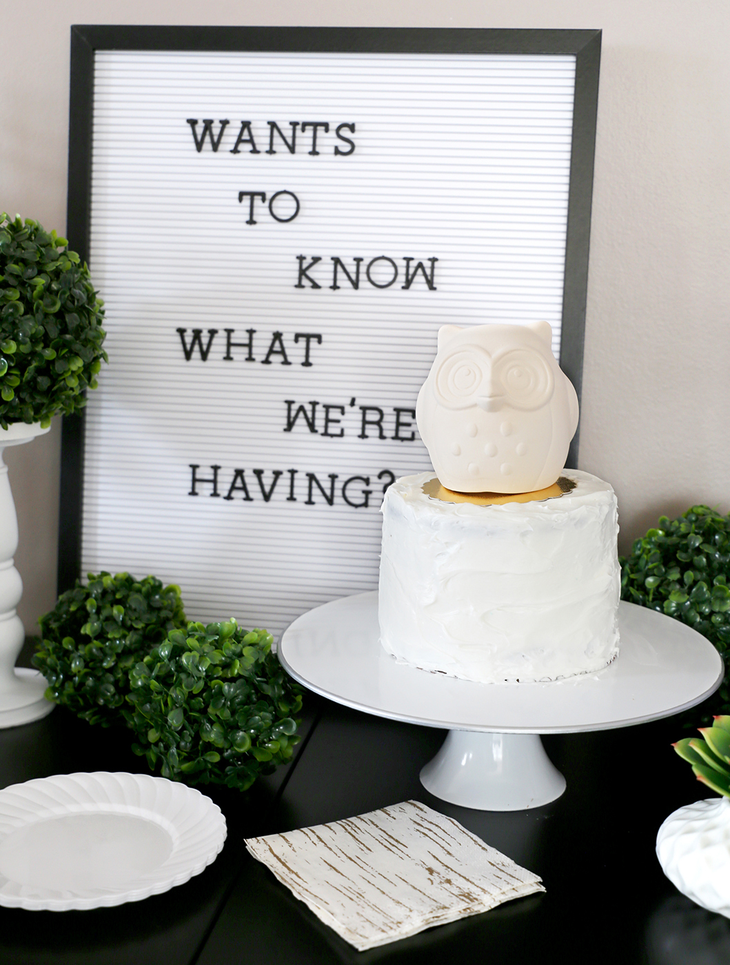 owl-gender-reveal-19