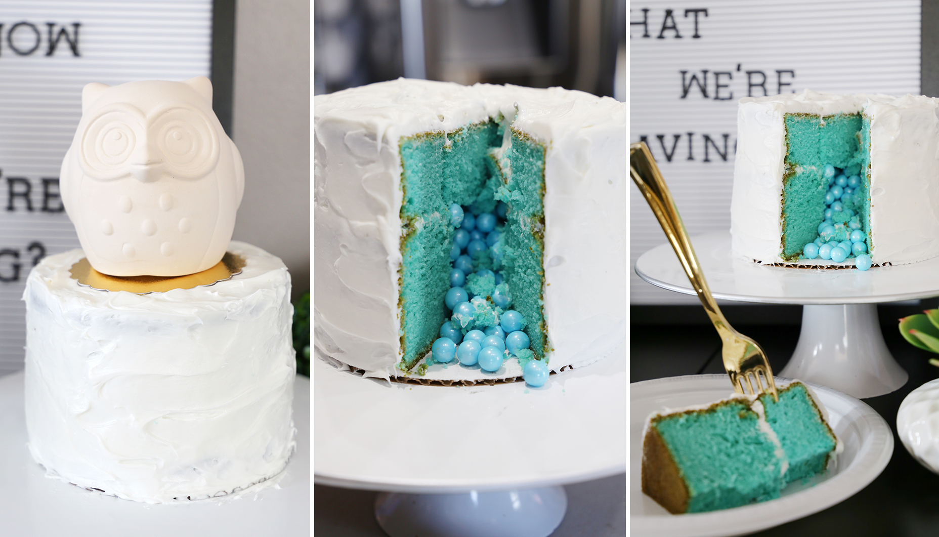 owl-gender-reveal-20