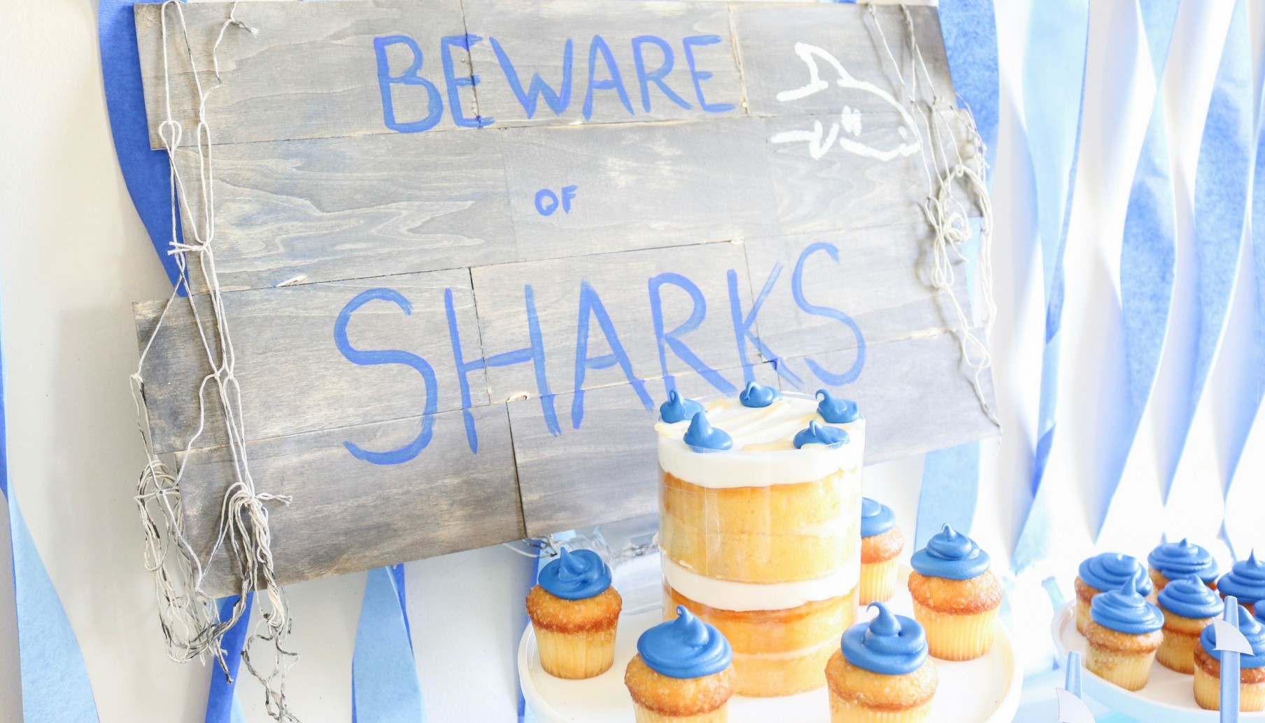 Shark Birthday Party Ideas