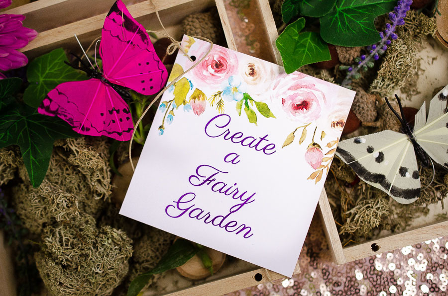Create a Fairy Garden