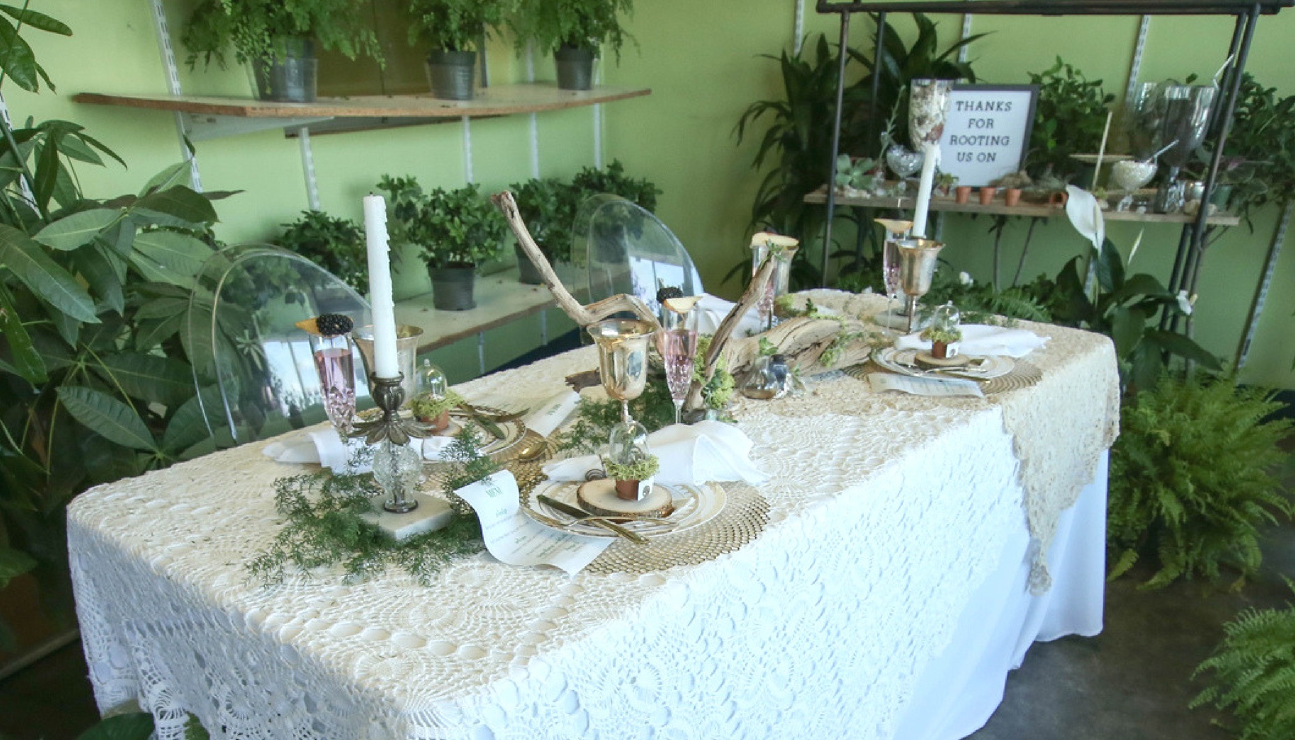 greenhouse wedding with plants and vintage lace table cloths