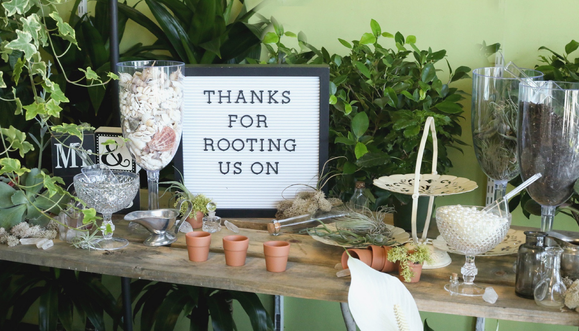 diy plant potting terrarium station at wedding