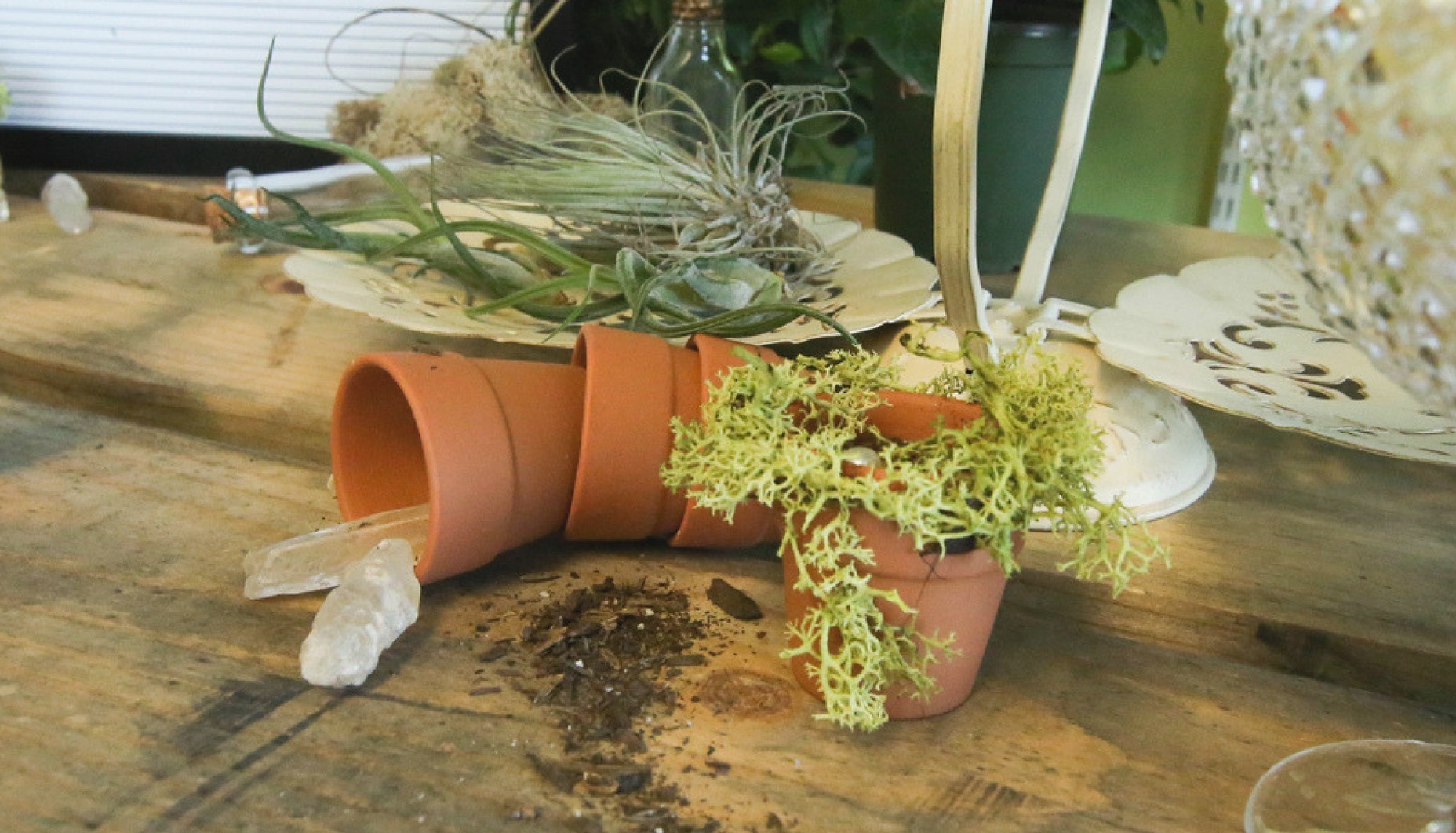 crystals moss and terra cotta pots jungalow style wedding