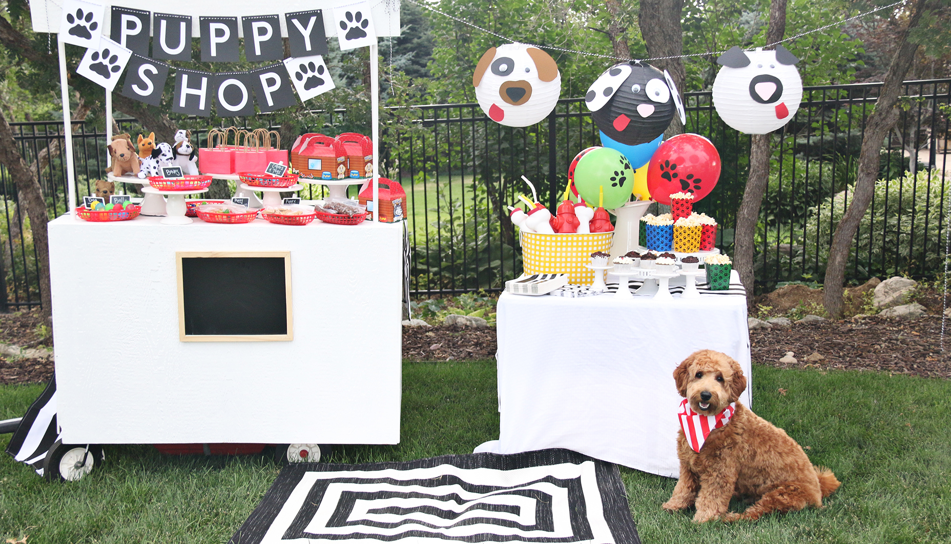 Puppy Adoption Party Fun365