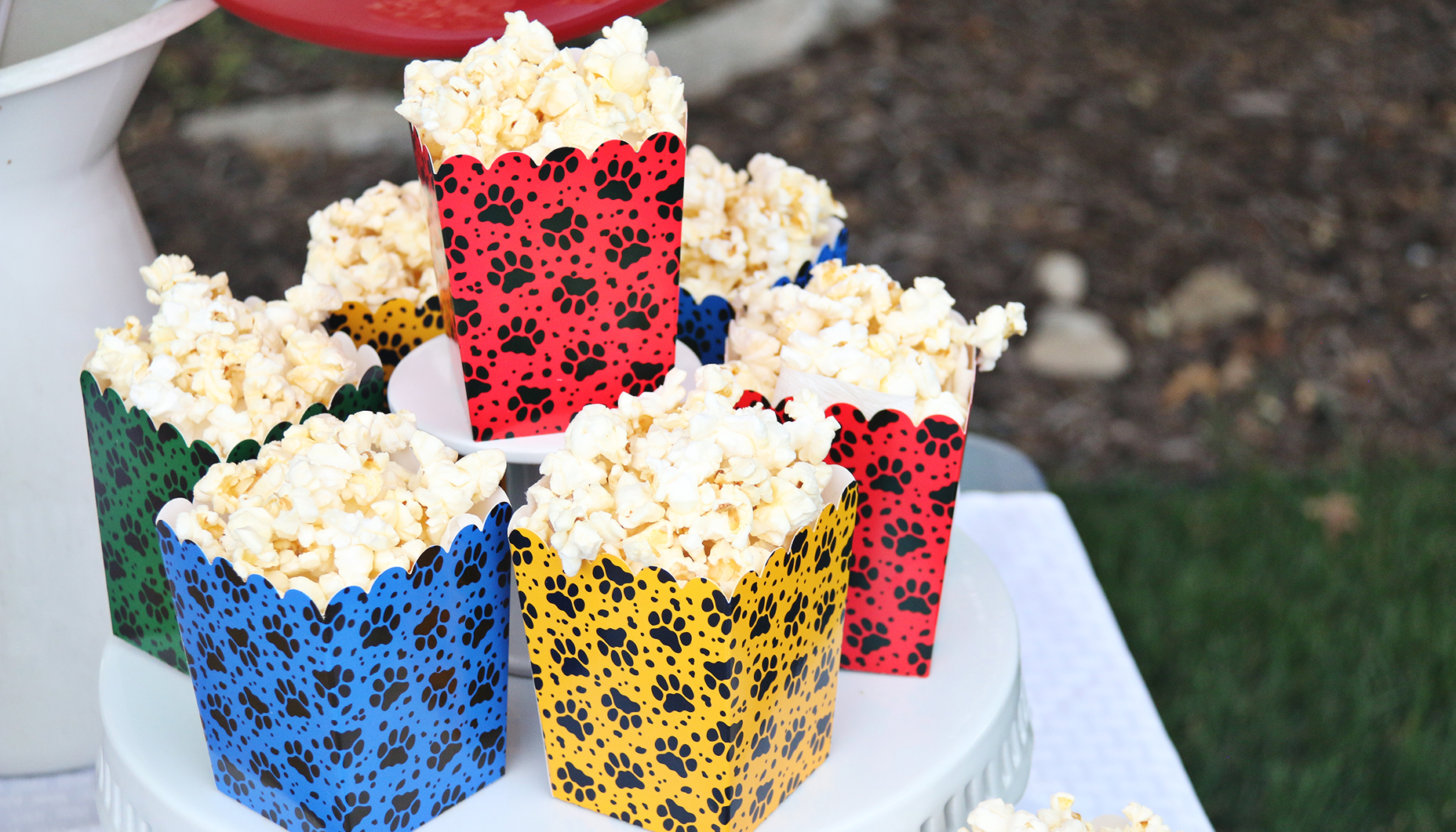 Puppy Popcorn