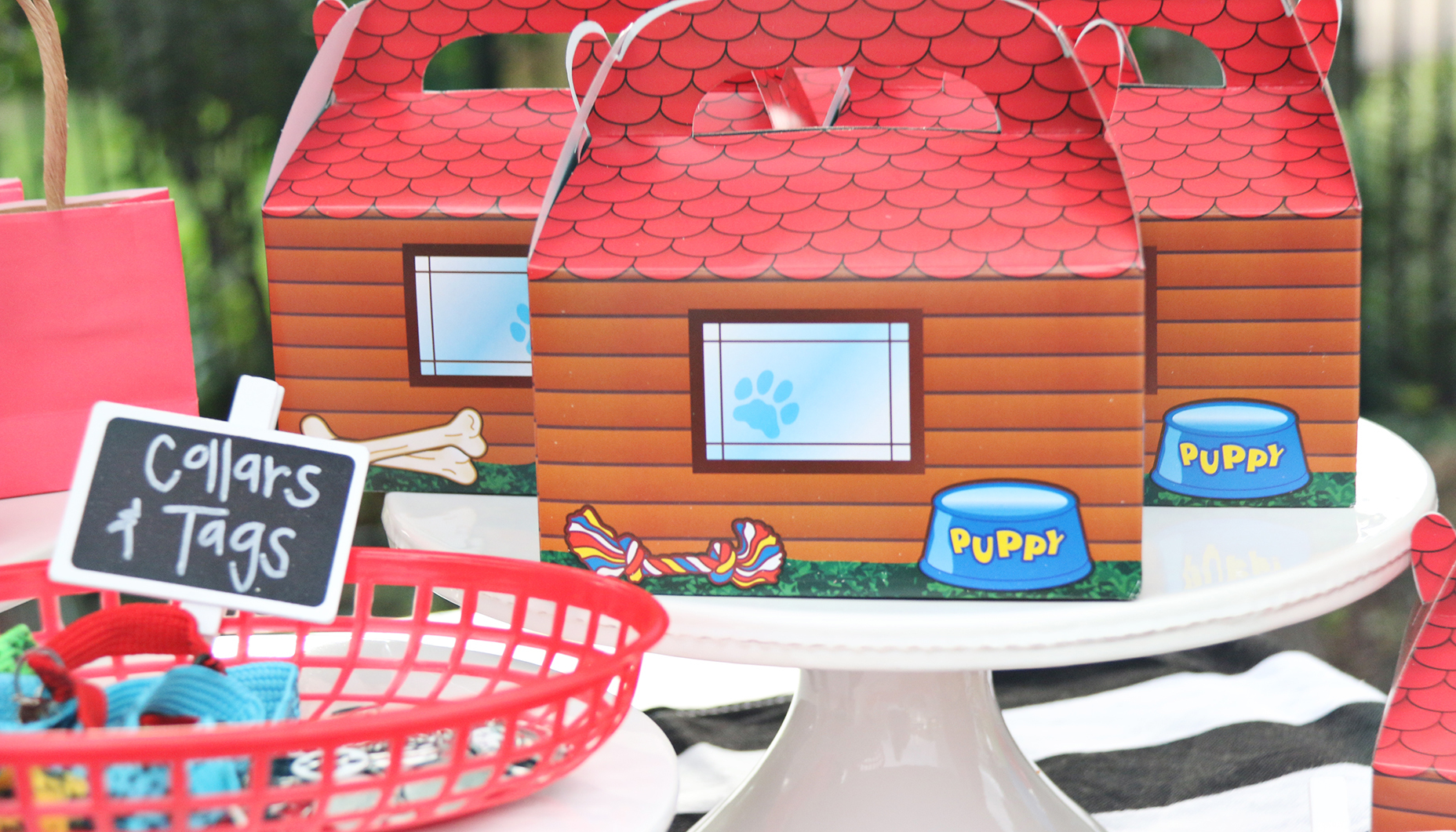Puppy Party