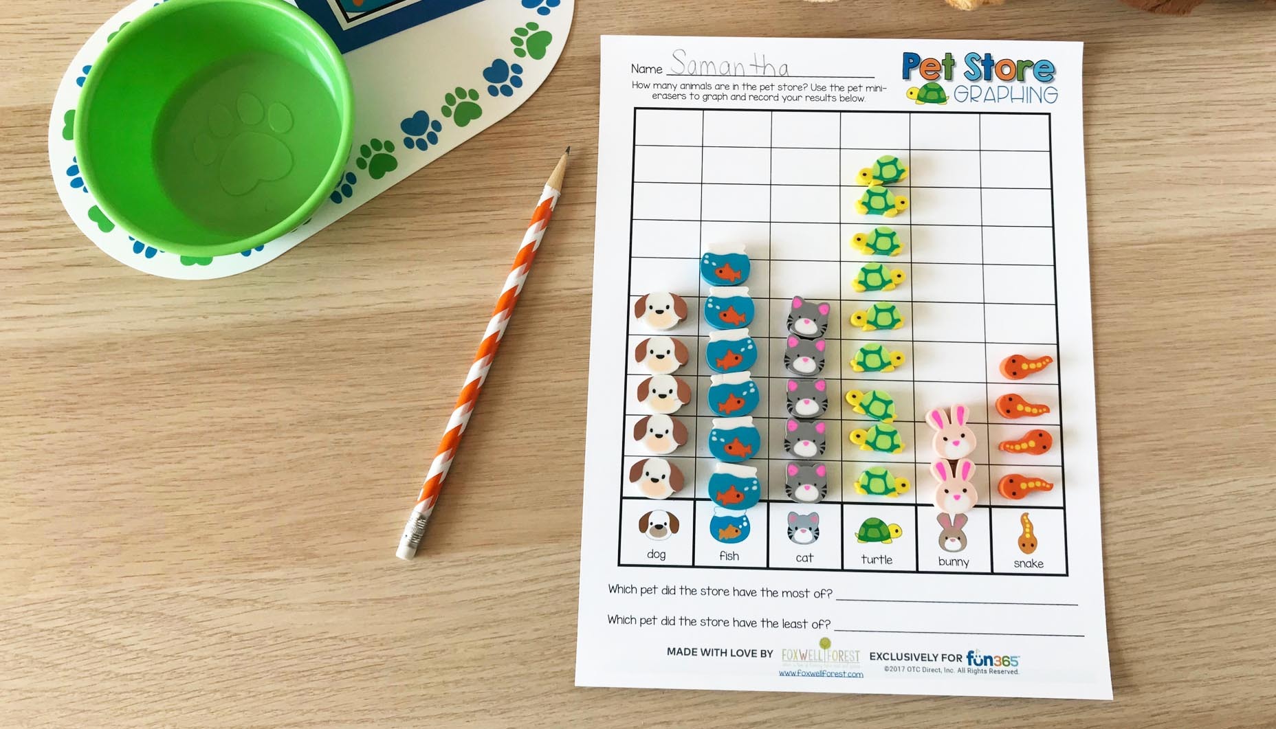 pets-mini-eraser-graphing-activity-content-4