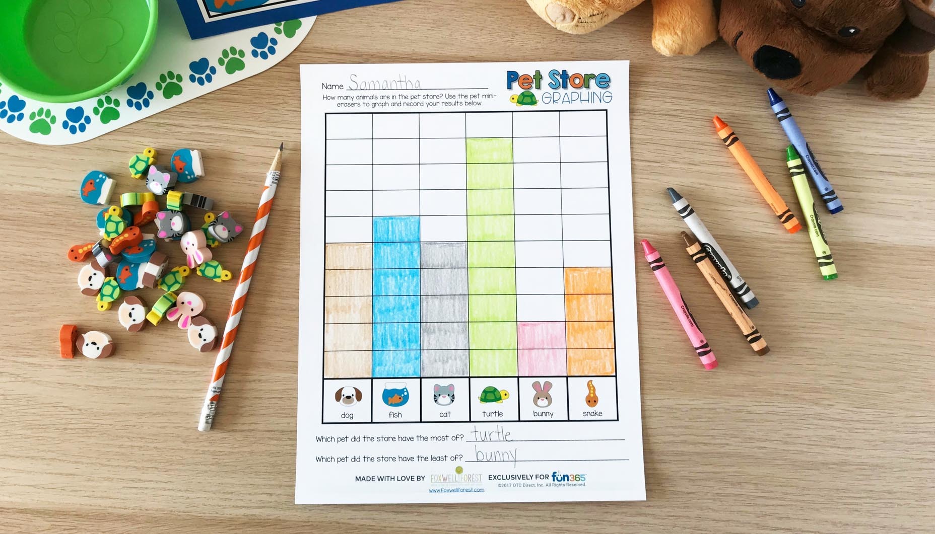 pets-mini-eraser-graphing-activity-content-5