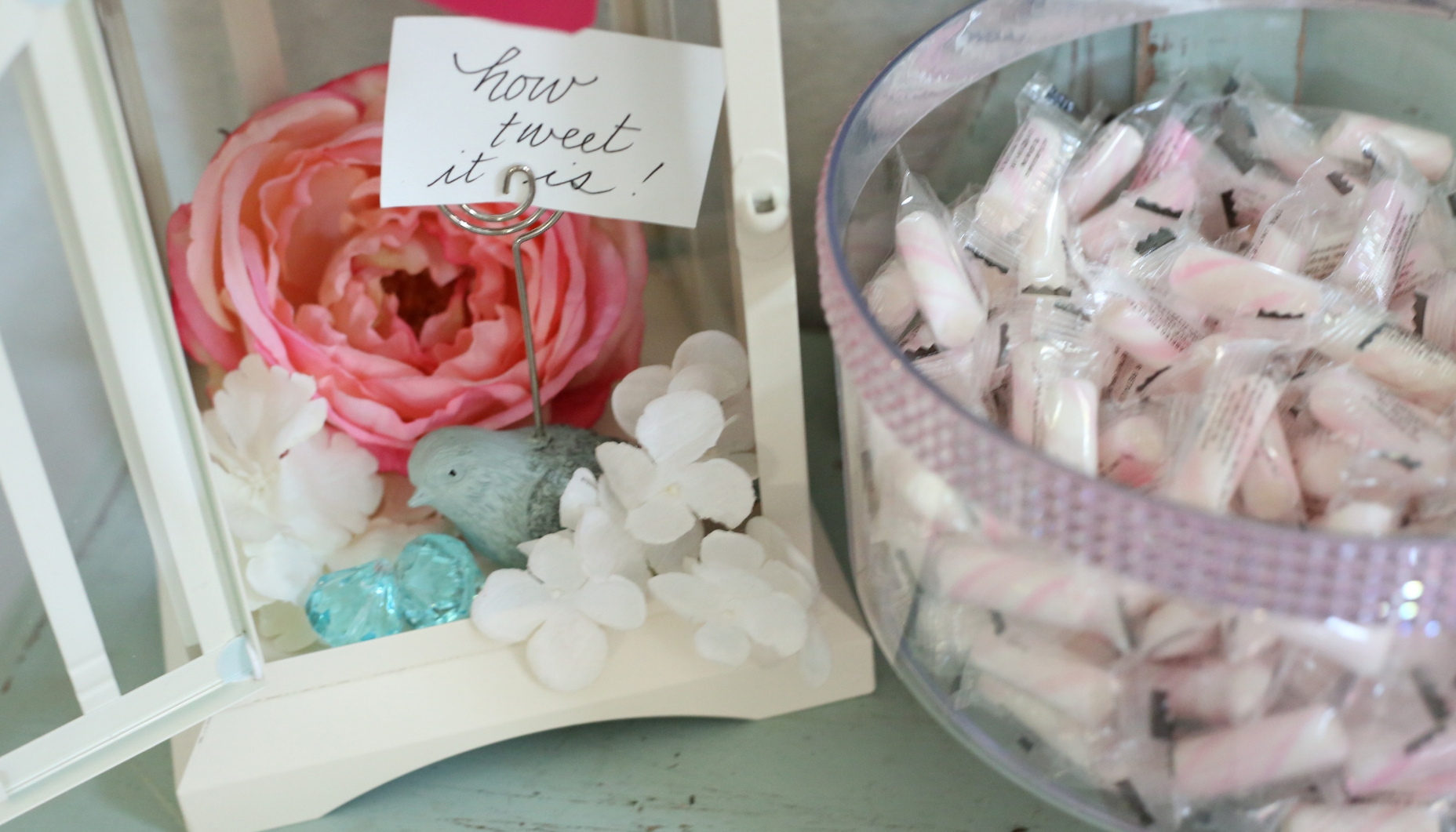 tweet station with candy bird themed shower