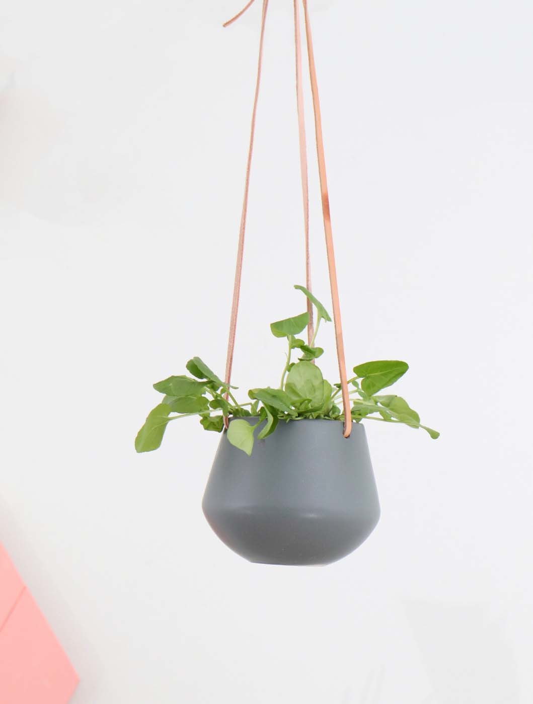 Vege-Food-Bar-Content-Vertical-4