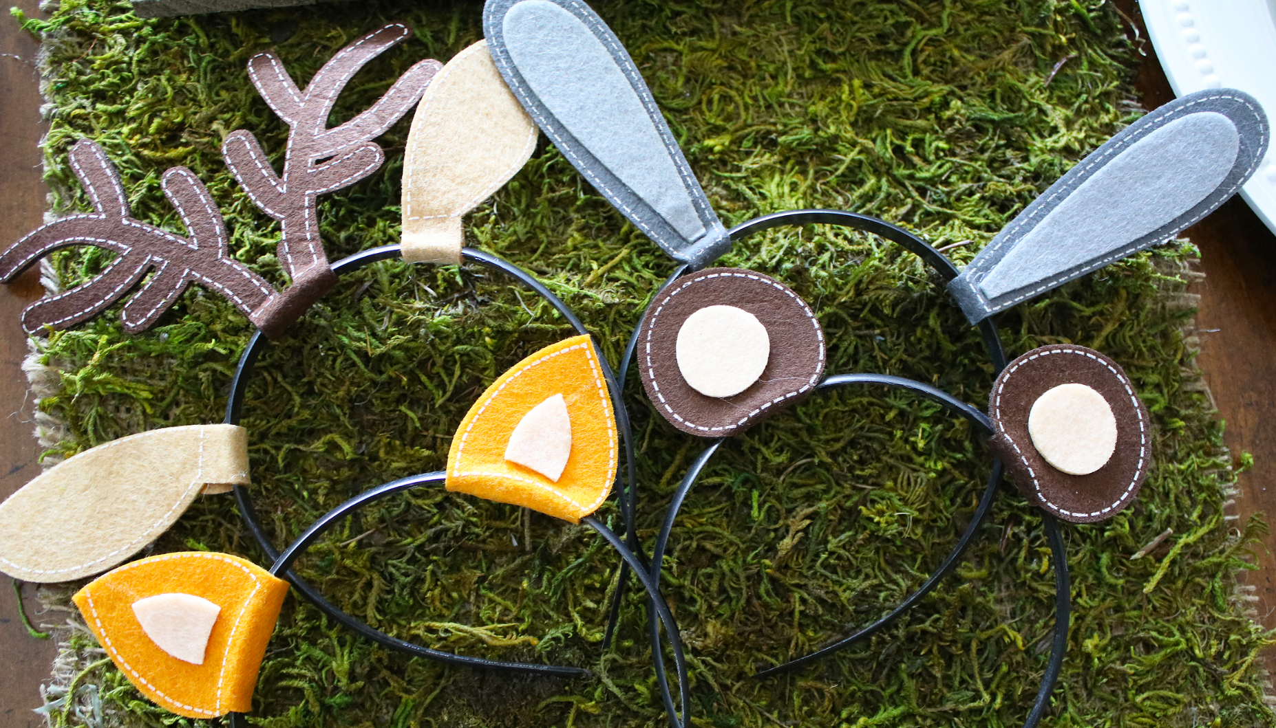 Wild One Party Favor Headbands