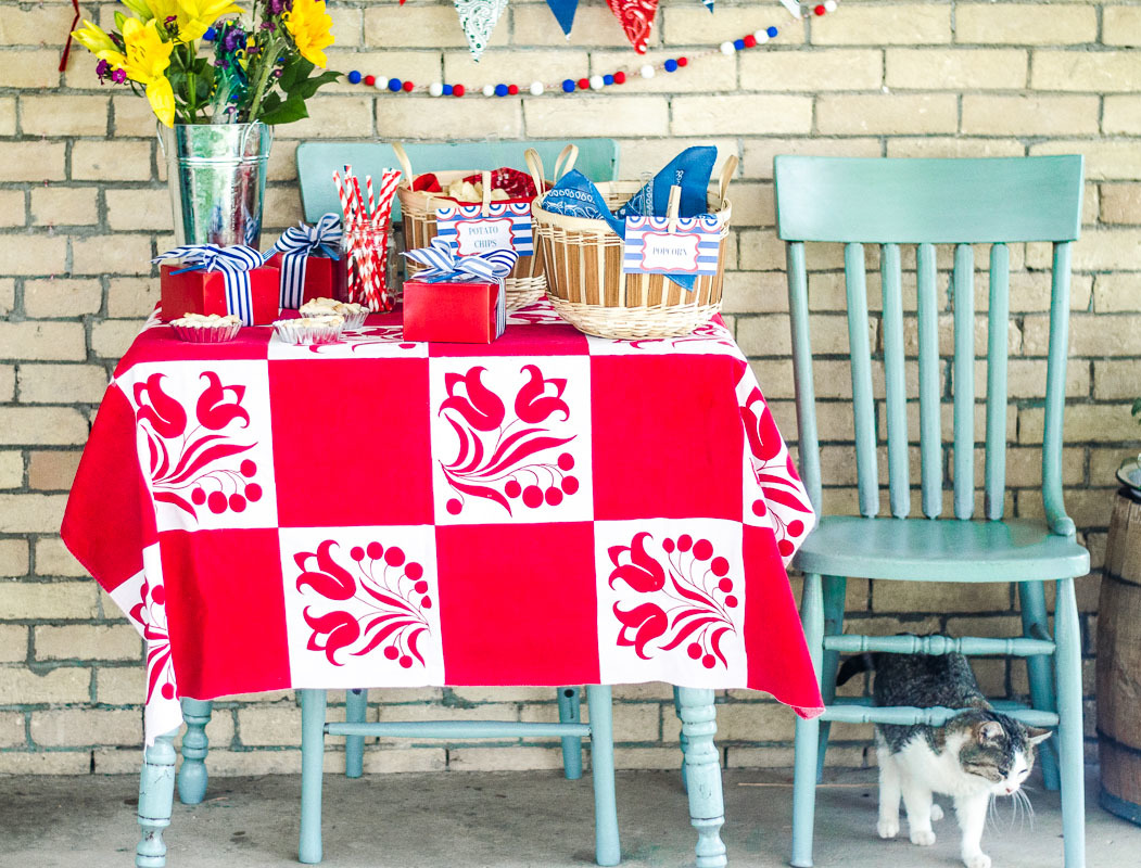 Vintage 4th of July Picnic