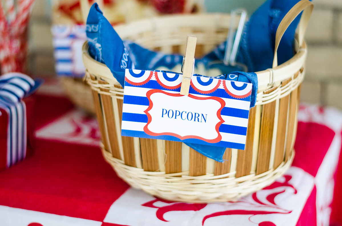 Vintage 4th of July Picnic