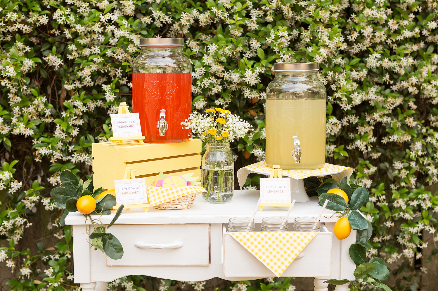 Ceremony Lemonade Bar