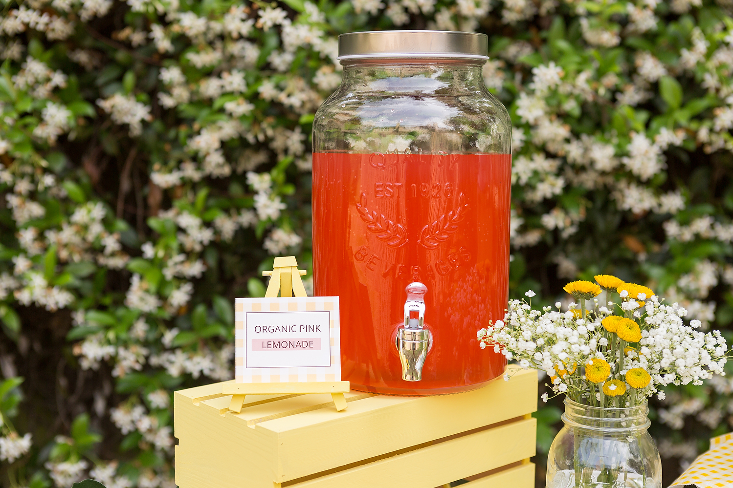 Ceremony Lemonade Bar