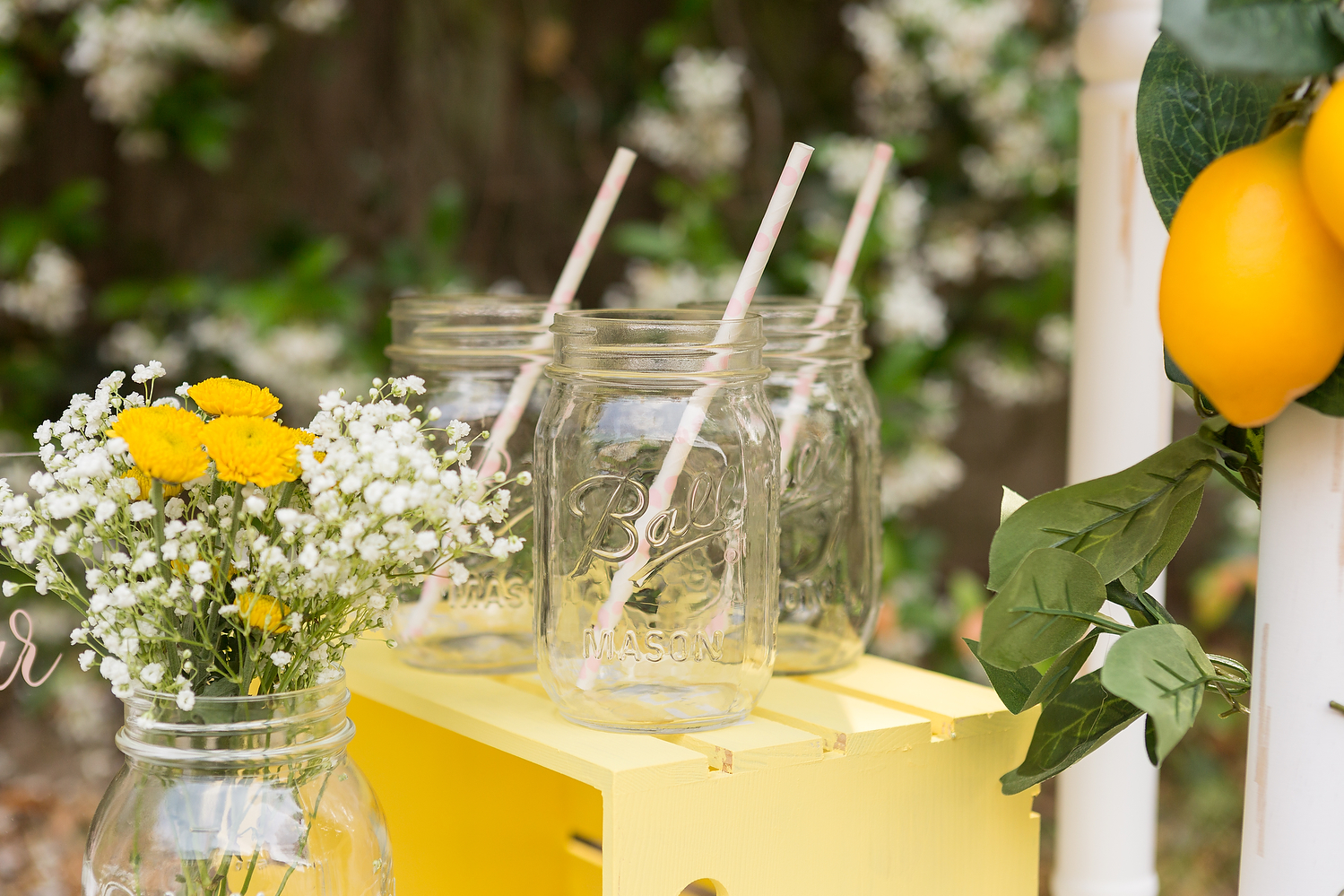 Ceremony Lemonade Bar