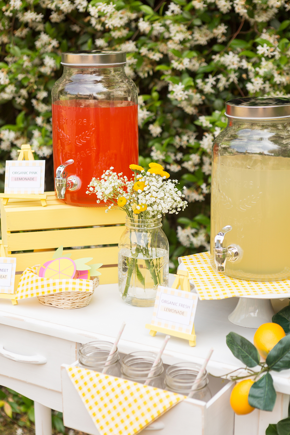 Ceremony Lemonade Bar