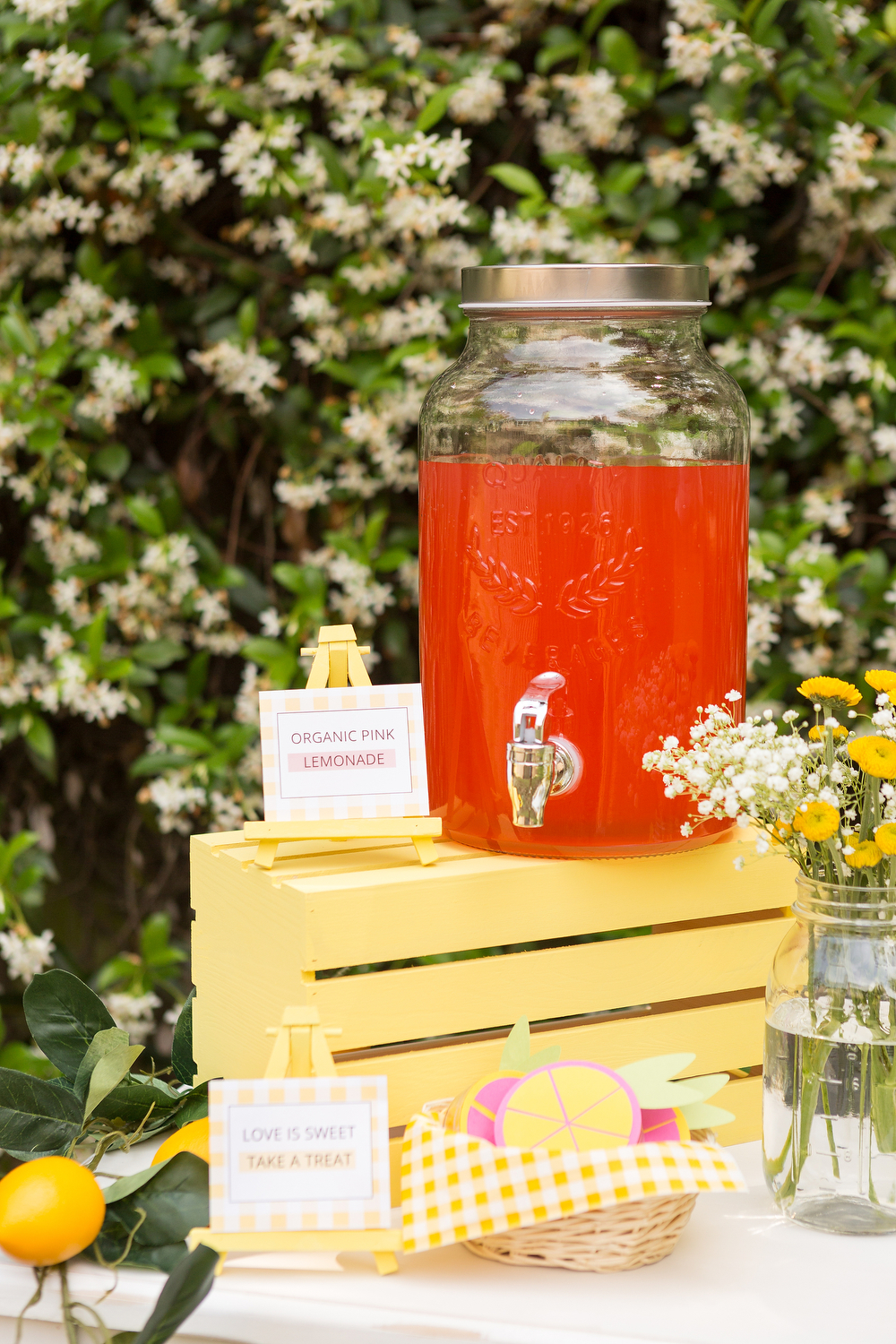 Ceremony Lemonade Bar