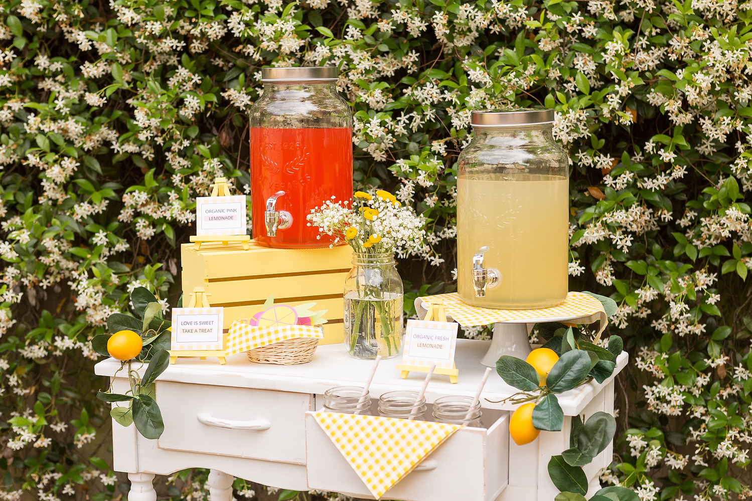 Ceremony Lemonade Bar