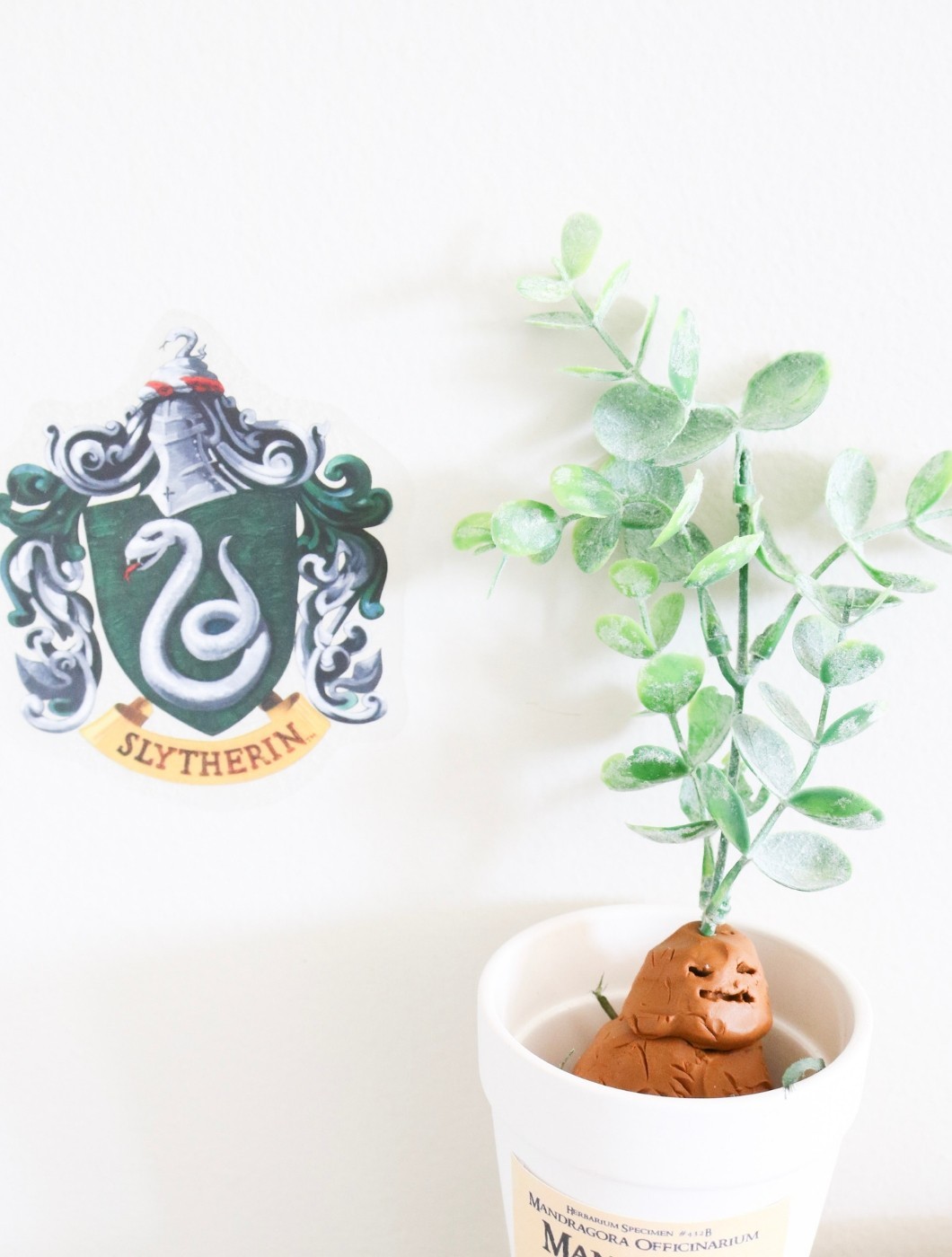 Harry Potter Party Ideas