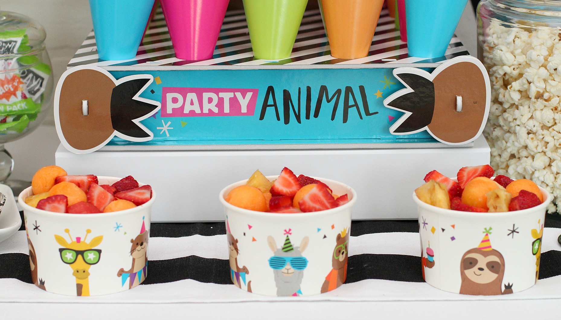 Party Animal Birthday Party | Fun365