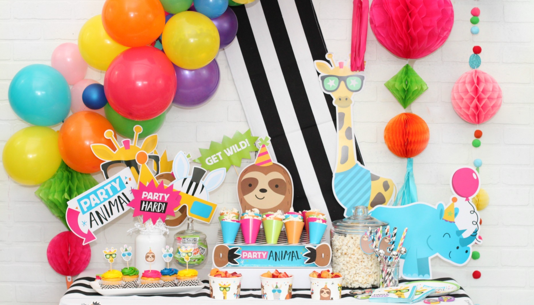 Party Animal Birthday Party | Fun365