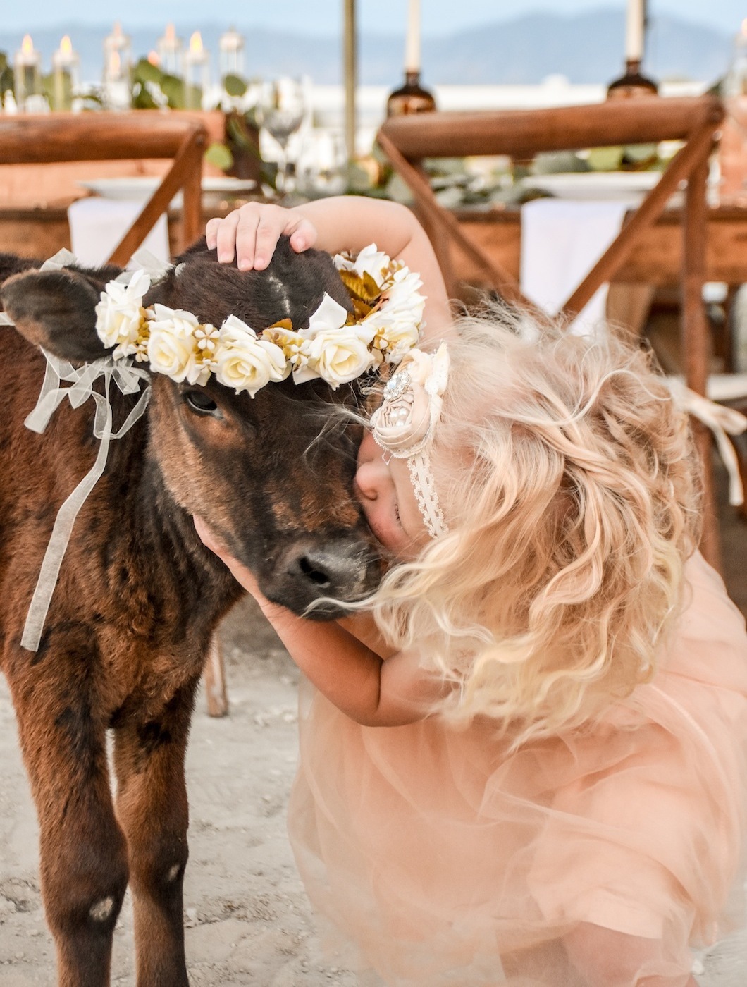 flower girl kissing baby cow country farm farmhouse wedding by Kara's Party Ideas