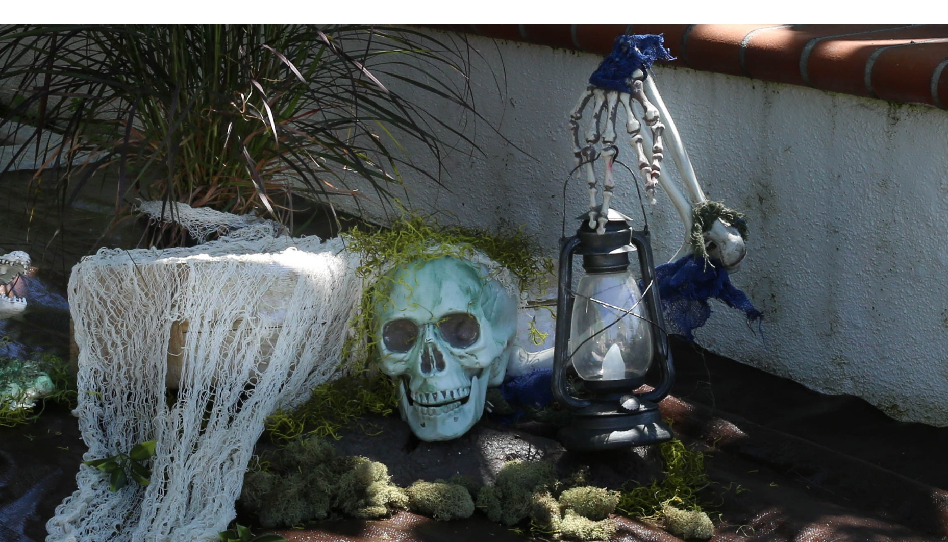 Haunted Bayou Outdoor Halloween Decorating Ideas