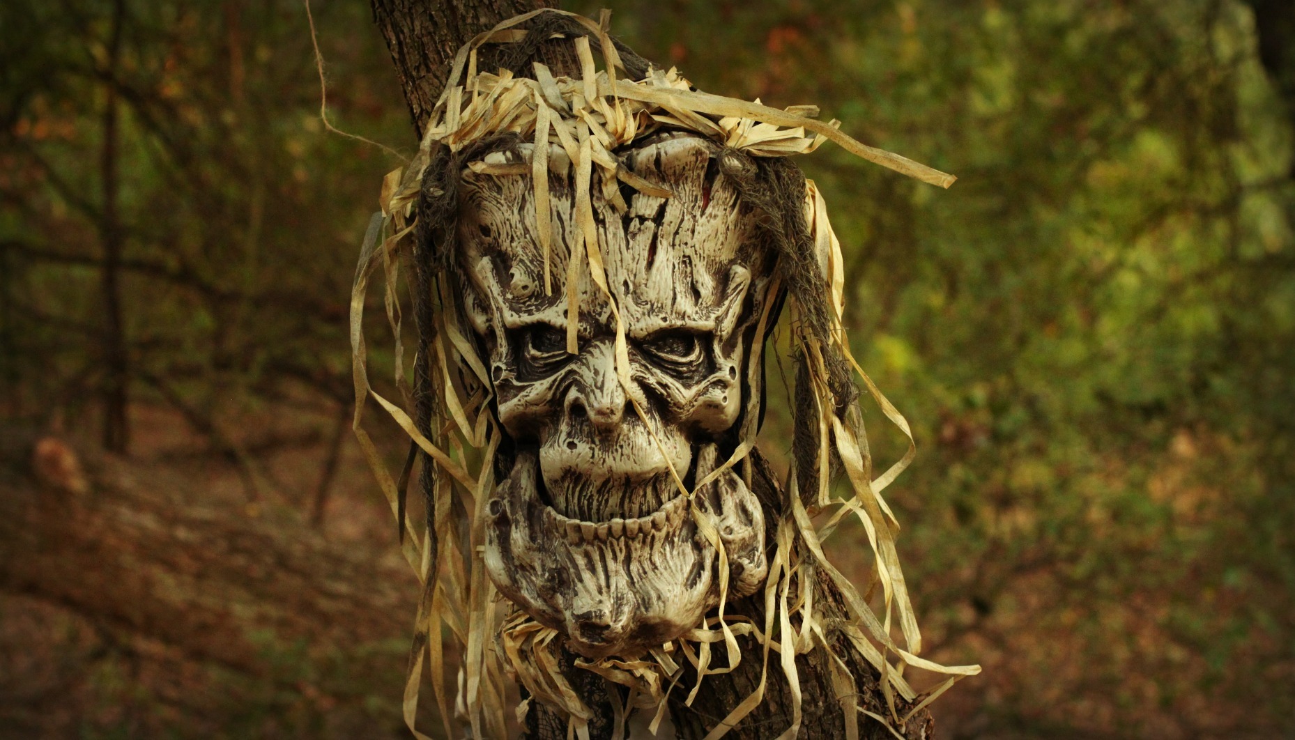 Haunted Forest Decorations: Transform Your Space This Halloween