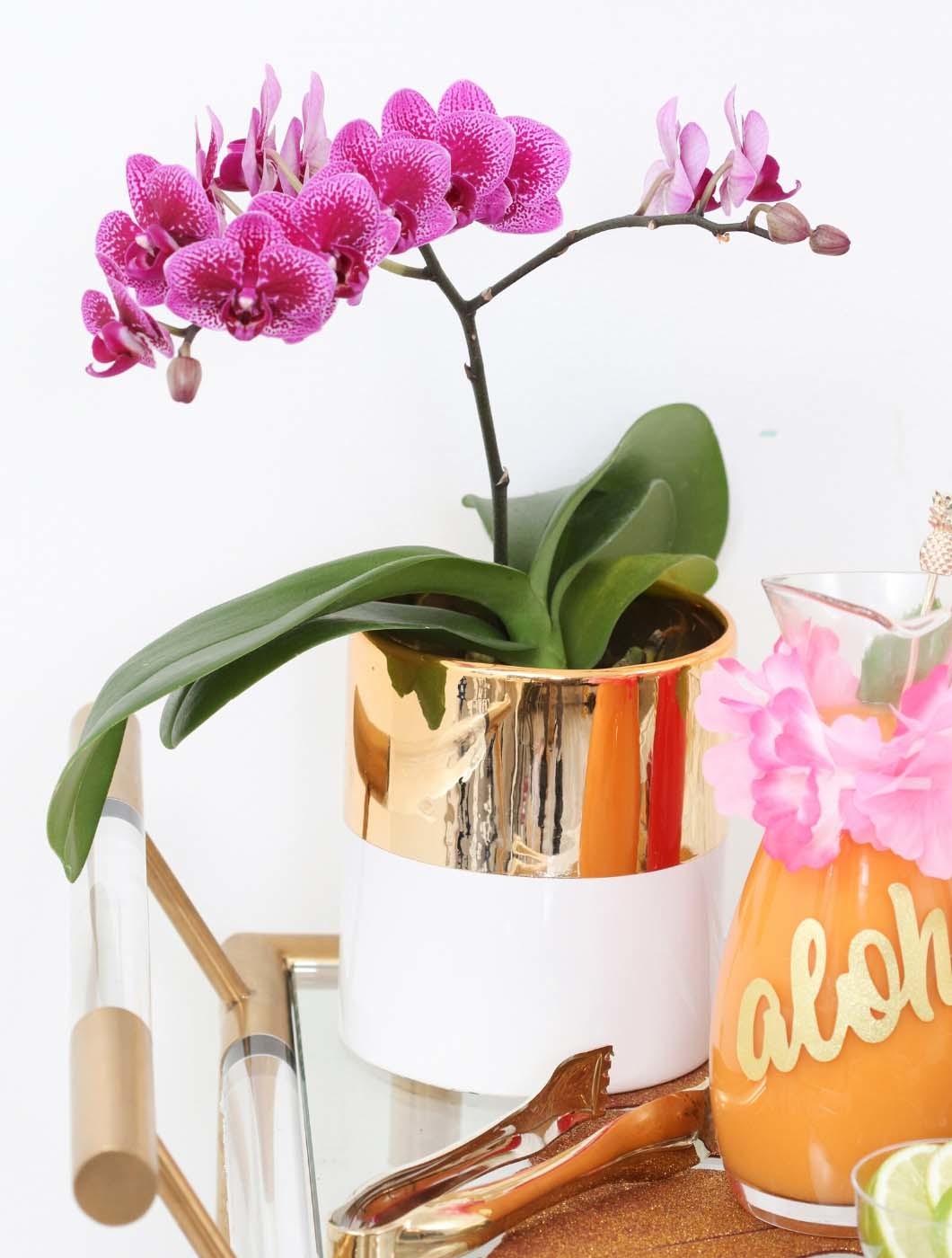 Mimosa-Cart-3-Ways-Content-Vertical-5
