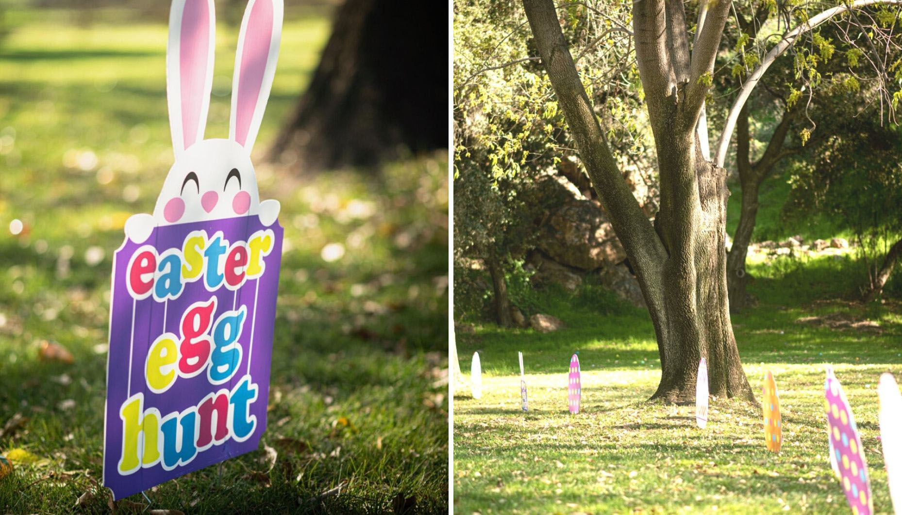 throw-a-large-scale-easter-egg-hunt