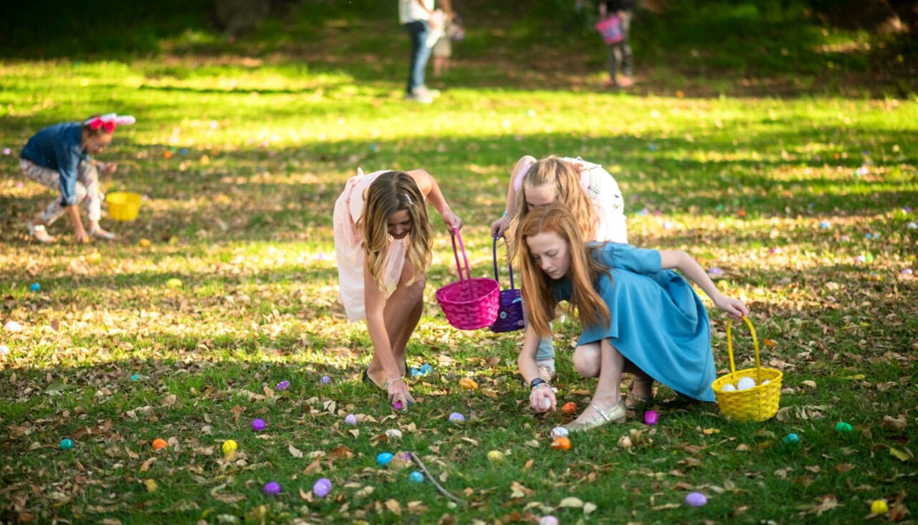 throw-a-large-scale-easter-egg-hunt