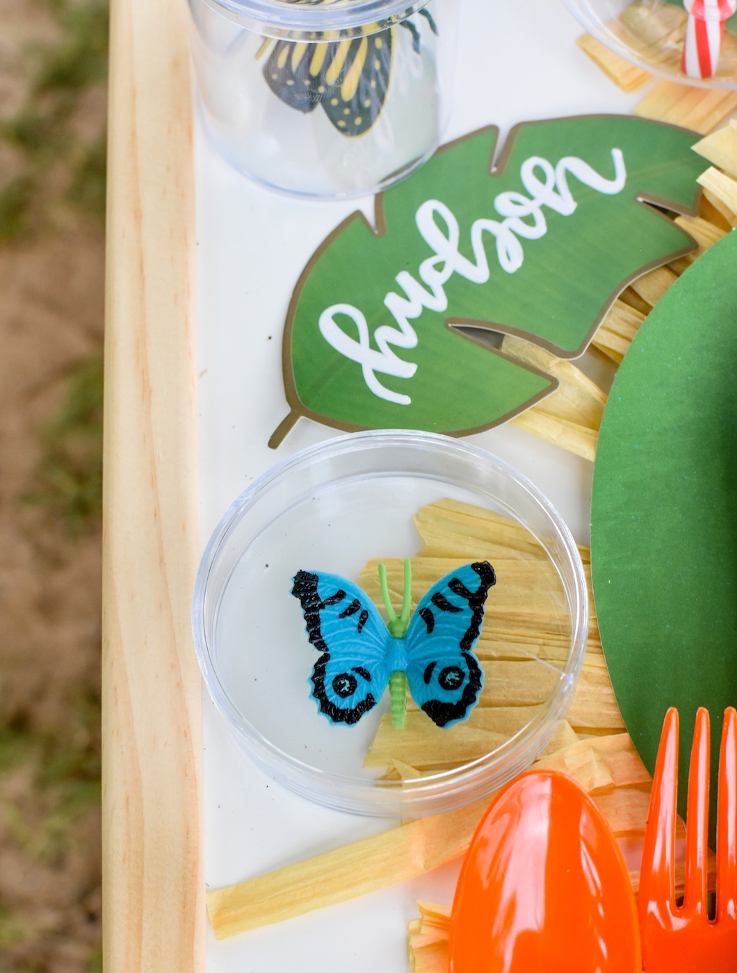 Backyard Adventure Bug Party Ideas