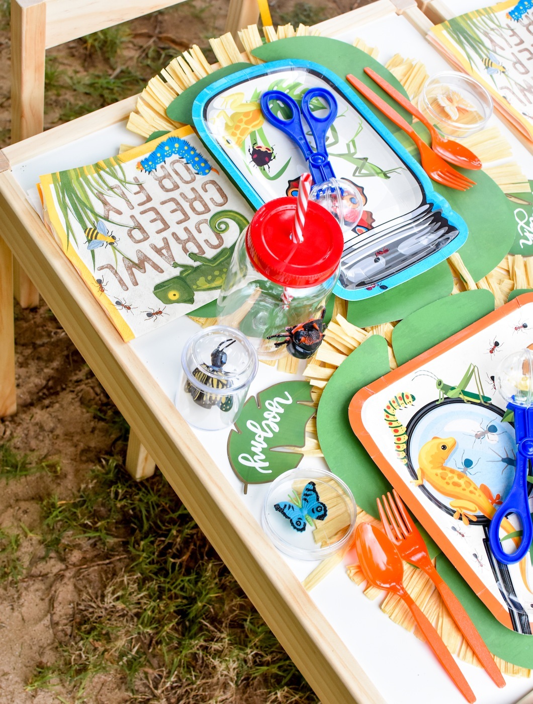 Backyard Adventure Bug Party Ideas