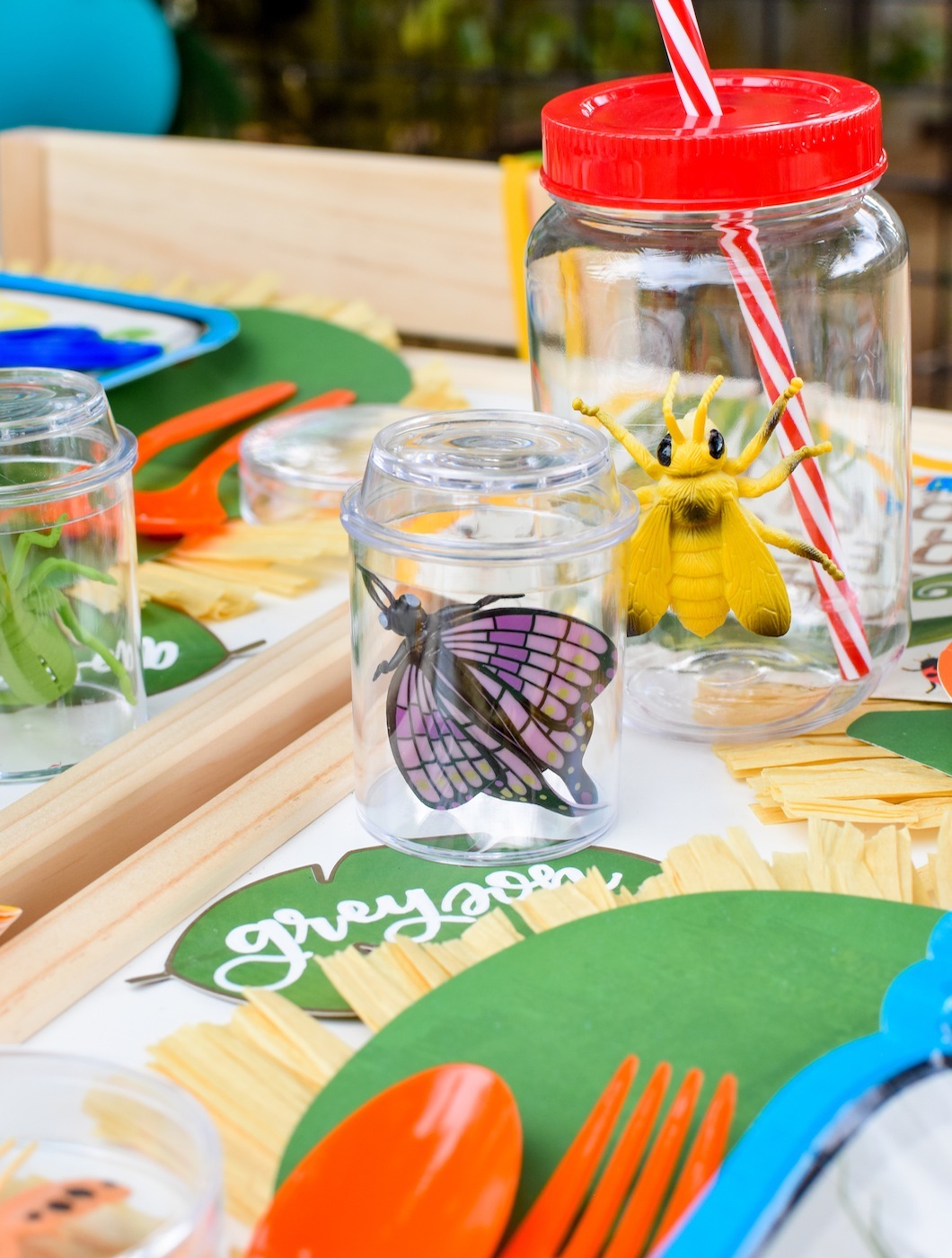 Backyard Adventure Bug Party Ideas