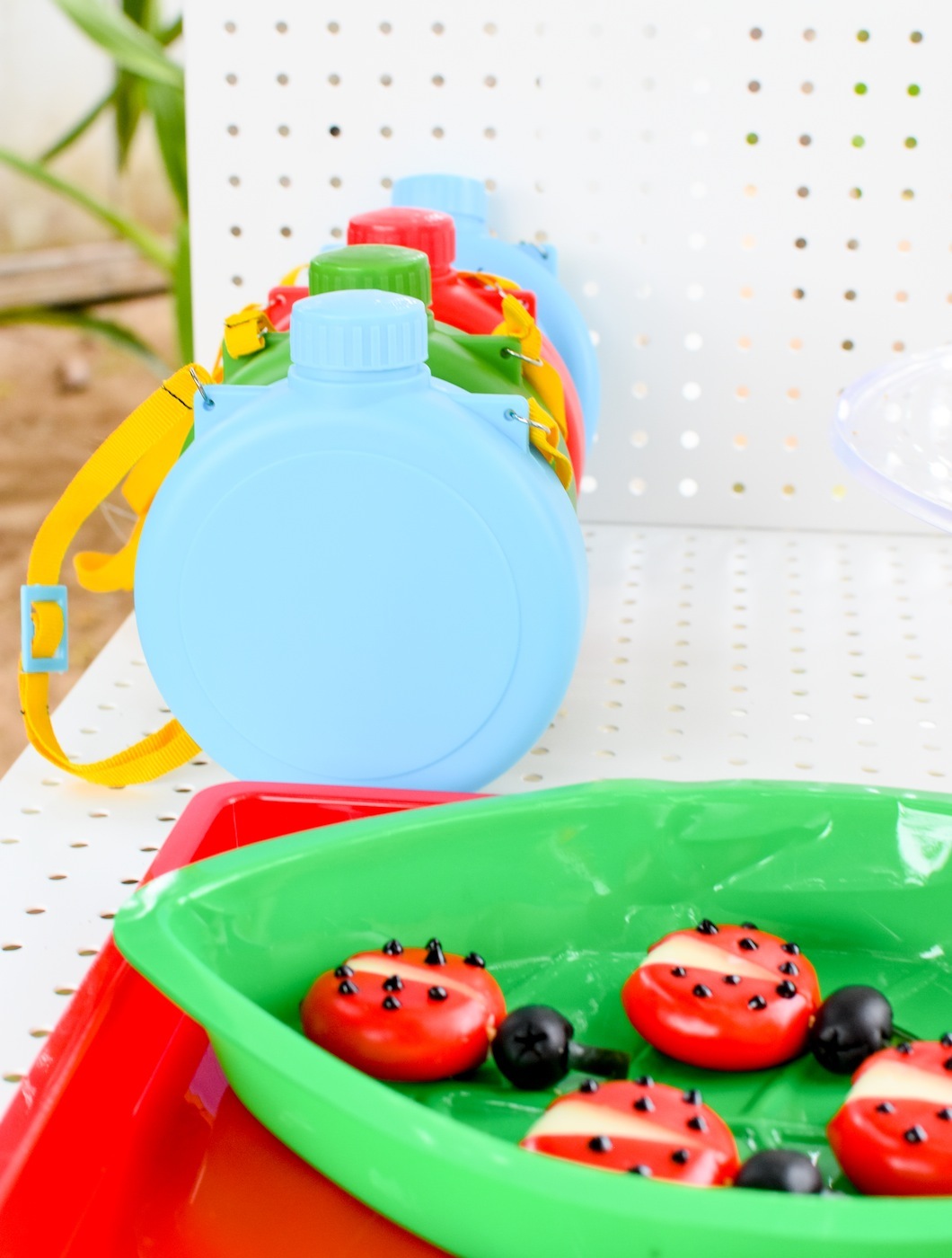 Backyard Adventure Bug Party Ideas