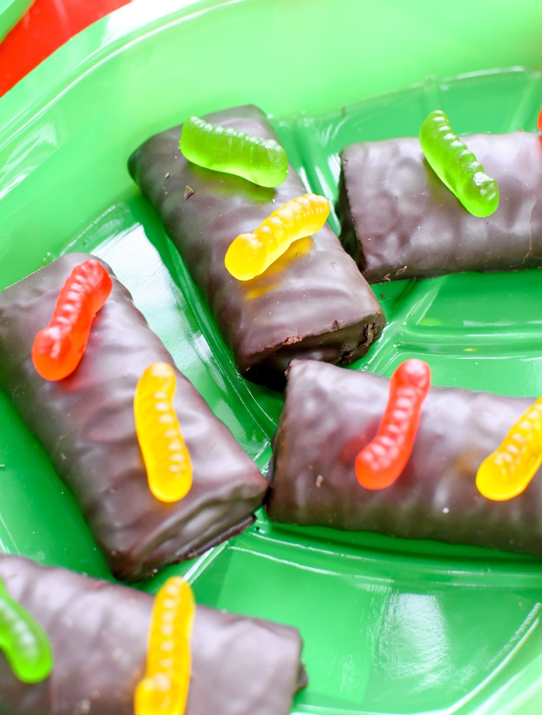 Backyard Adventure Bug Party Ideas