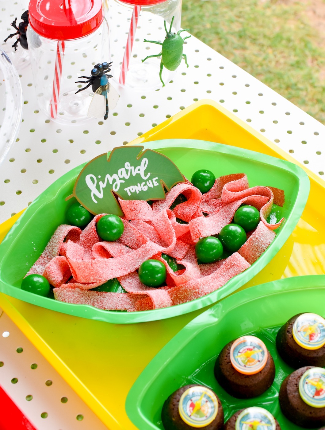 Backyard Adventure Bug Party Ideas