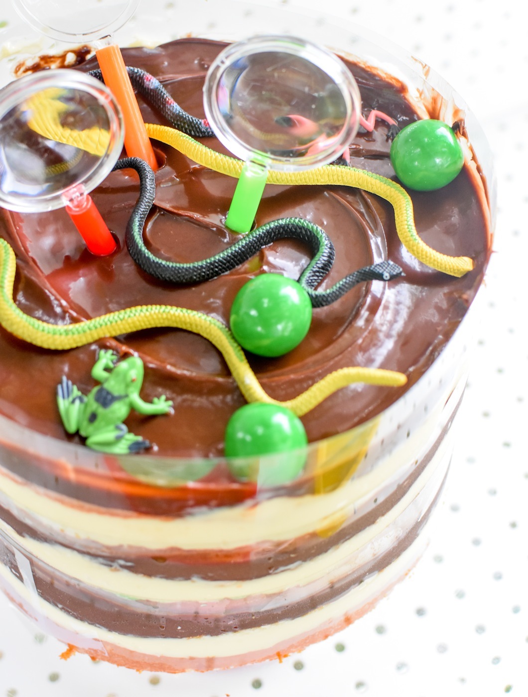 Backyard Adventure Bug Party Ideas