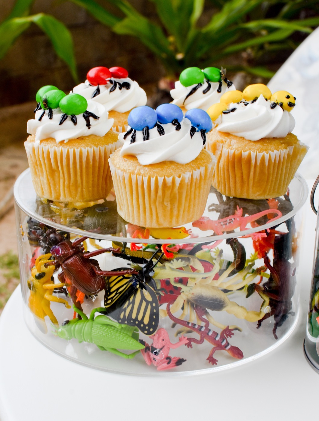 Backyard Adventure Bug Party Ideas