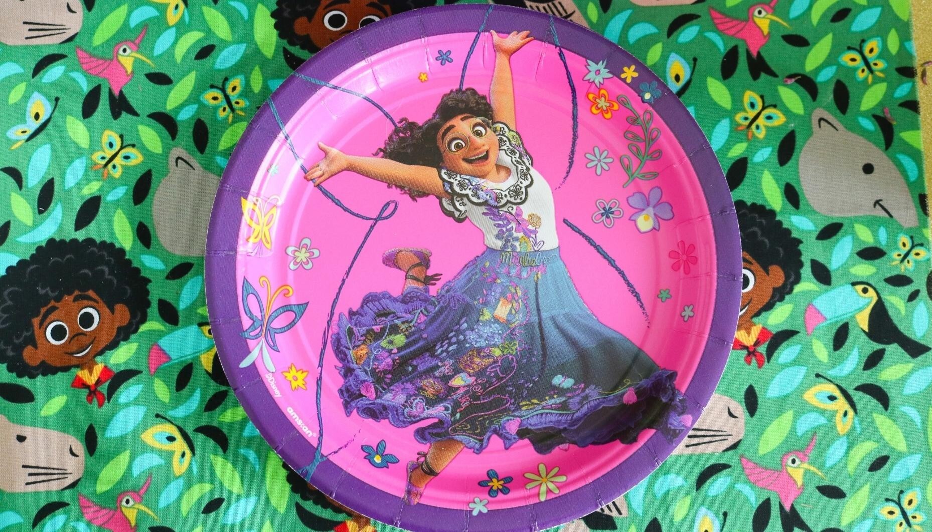 Encanto Birthday Party Cake Paper Plates