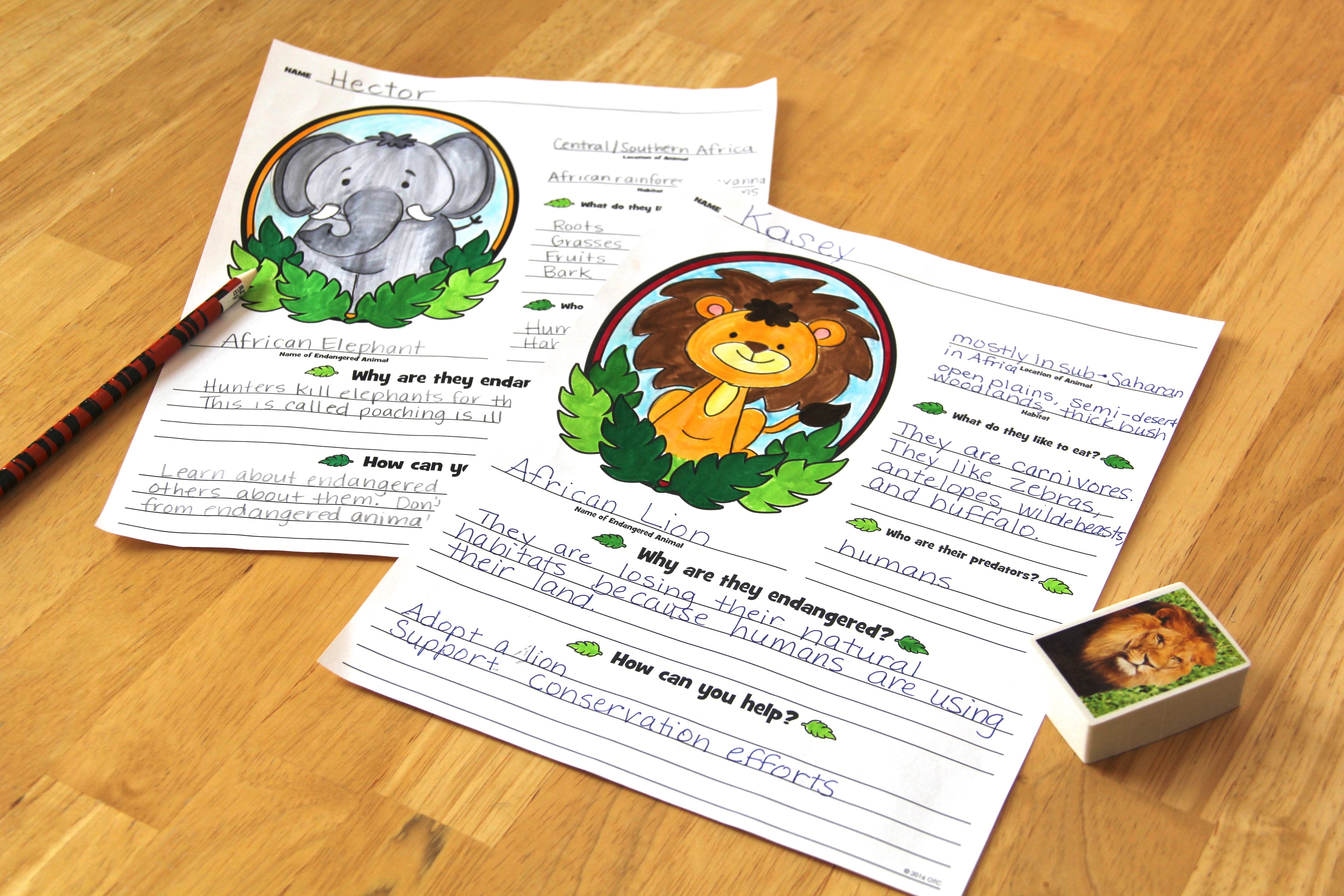 Safari research sheet