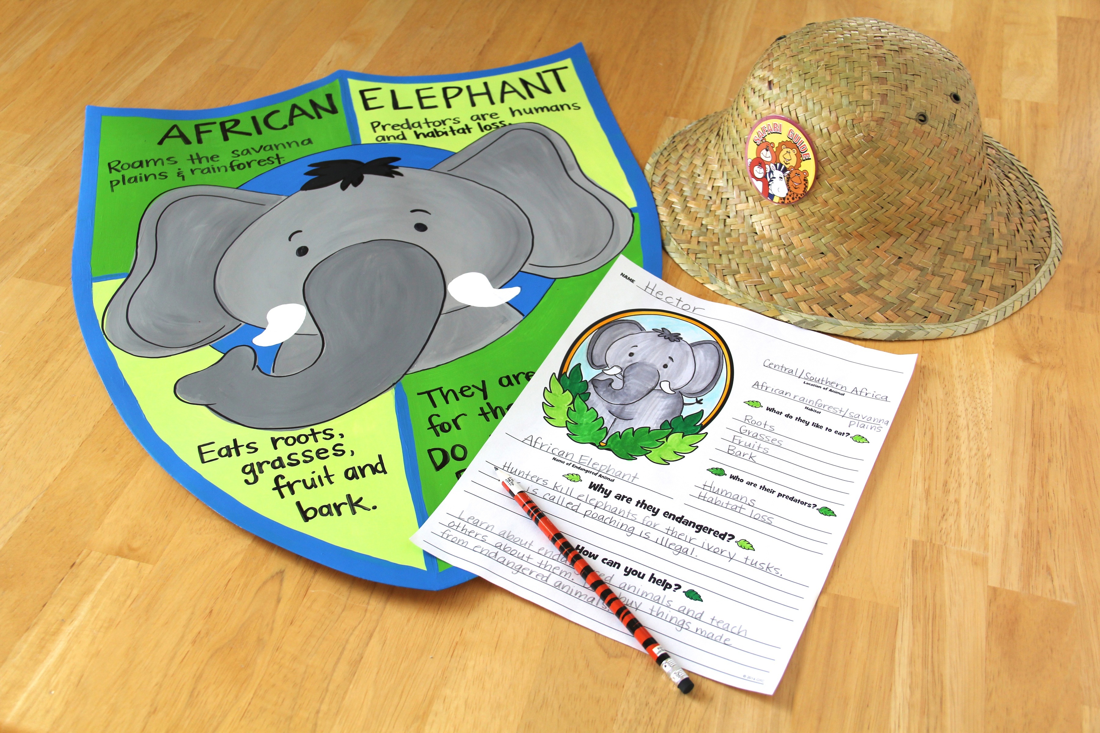 Endangered animal - elephant research project