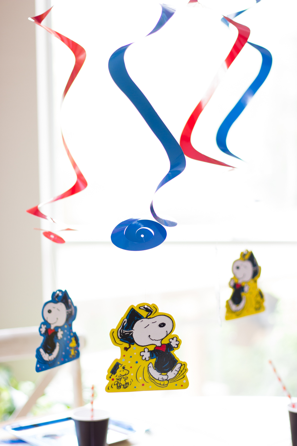 Peanuts snoopy graduation party decor