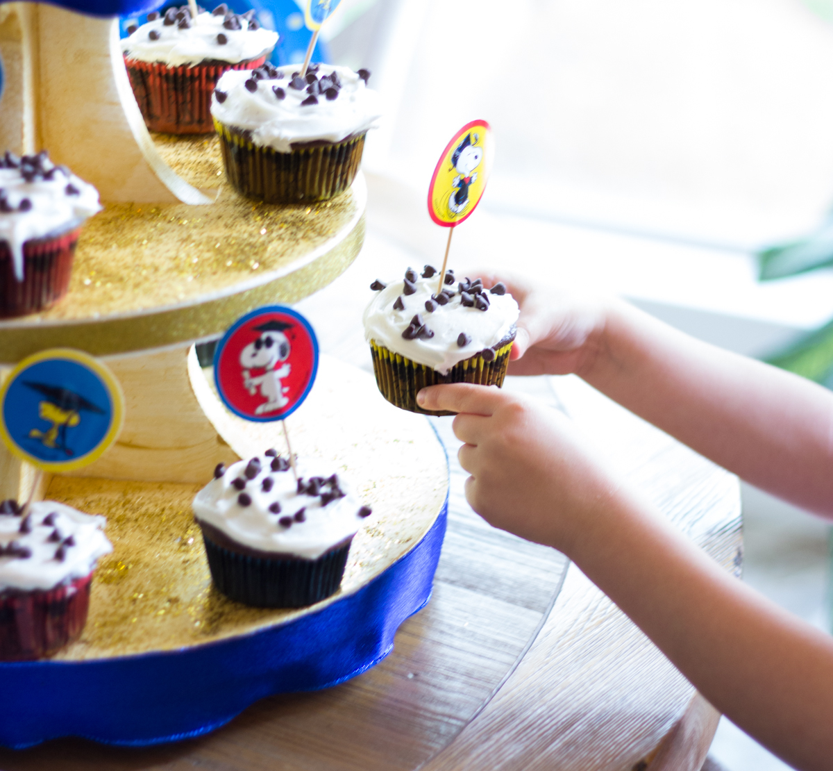 Chocolate chip surprise cupcakes